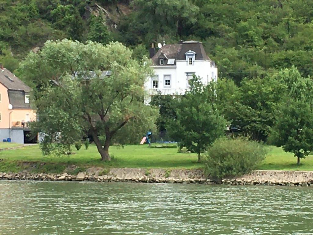 Paradiesisch Wohnen - Loreley Sankt Goarshausen Eksteriør billede