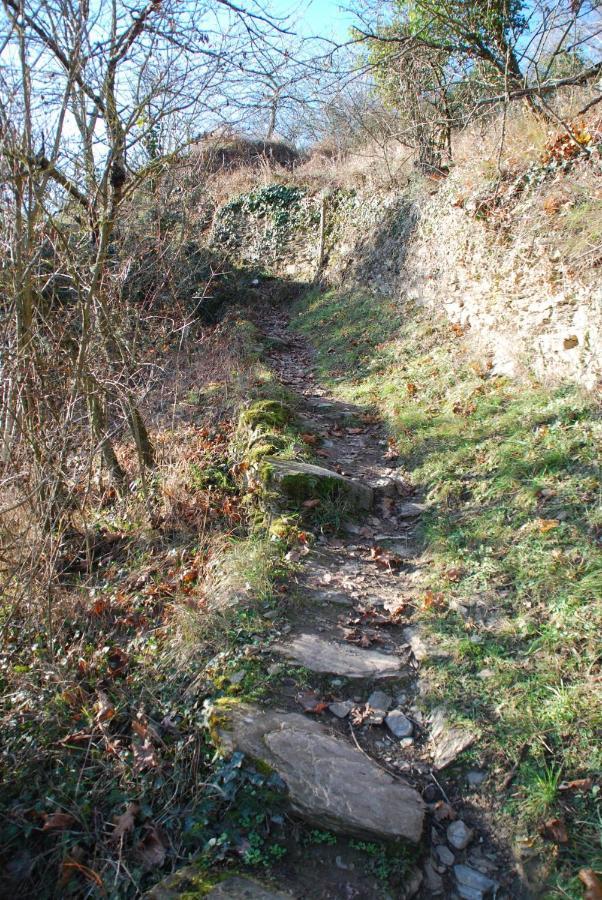Paradiesisch Wohnen - Loreley Sankt Goarshausen Eksteriør billede